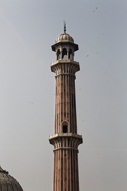Delhi-Grande mosquée-006